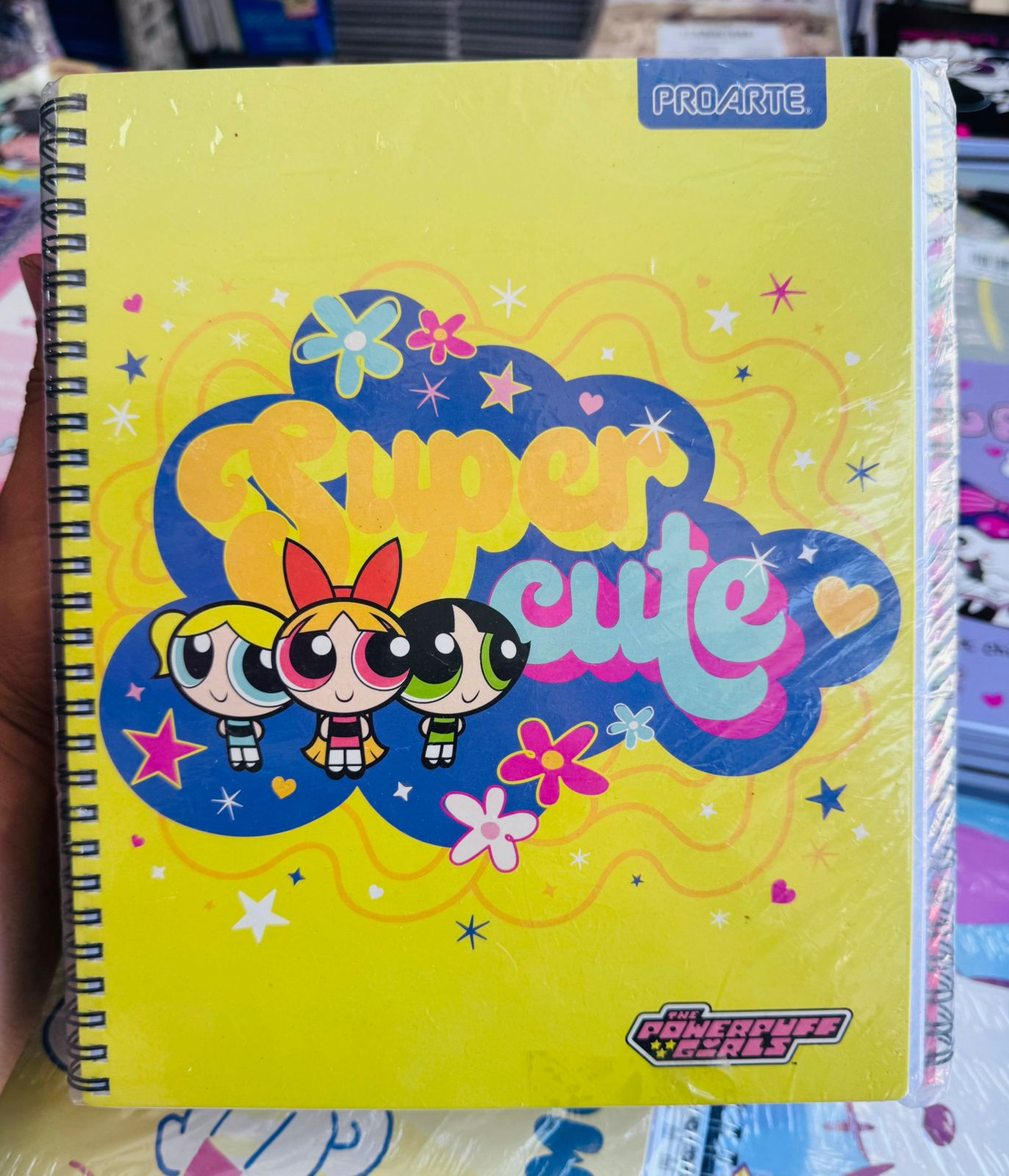 Pack Oferta 10 Cuadernos Universitarios ProArte