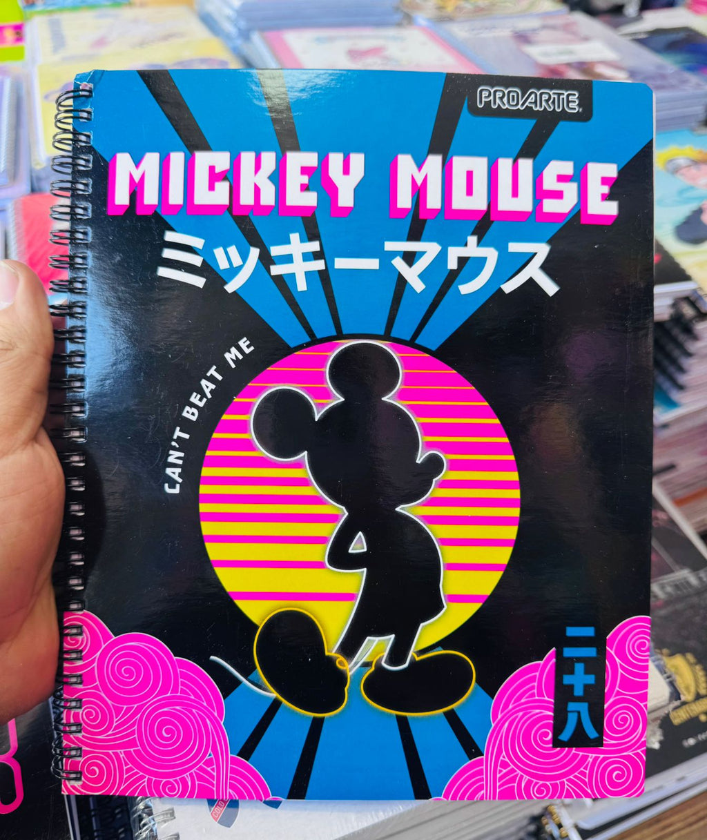 Pack Oferta 10 Cuadernos Universitarios ProArte