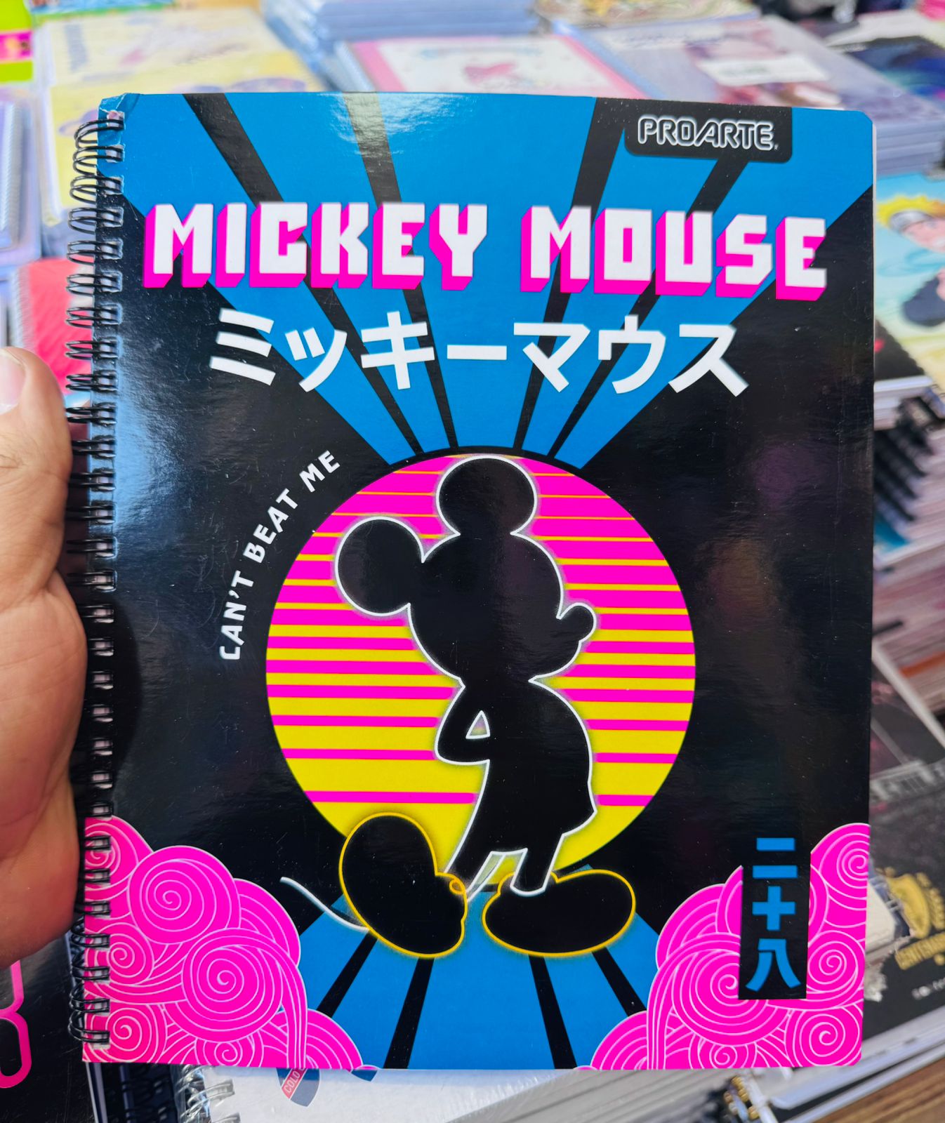 Pack Oferta 10 Cuadernos Universitarios ProArte