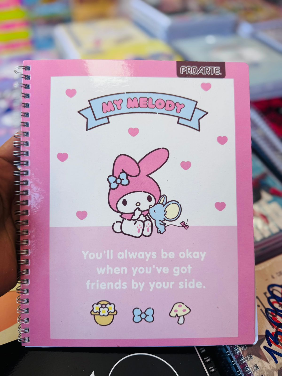 Pack Oferta 10 Cuadernos Universitarios ProArte