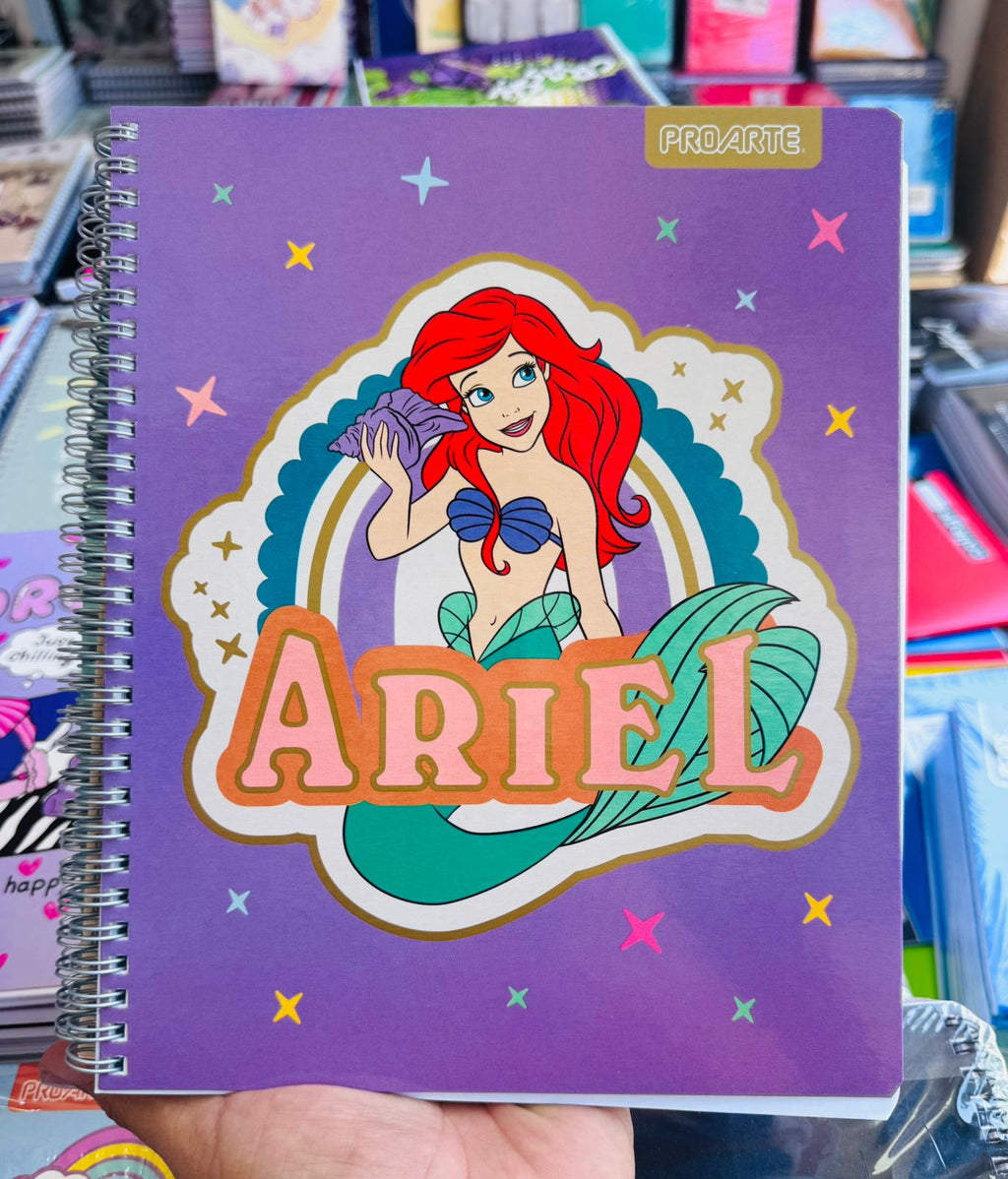 Pack Oferta 10 Cuadernos Universitarios ProArte