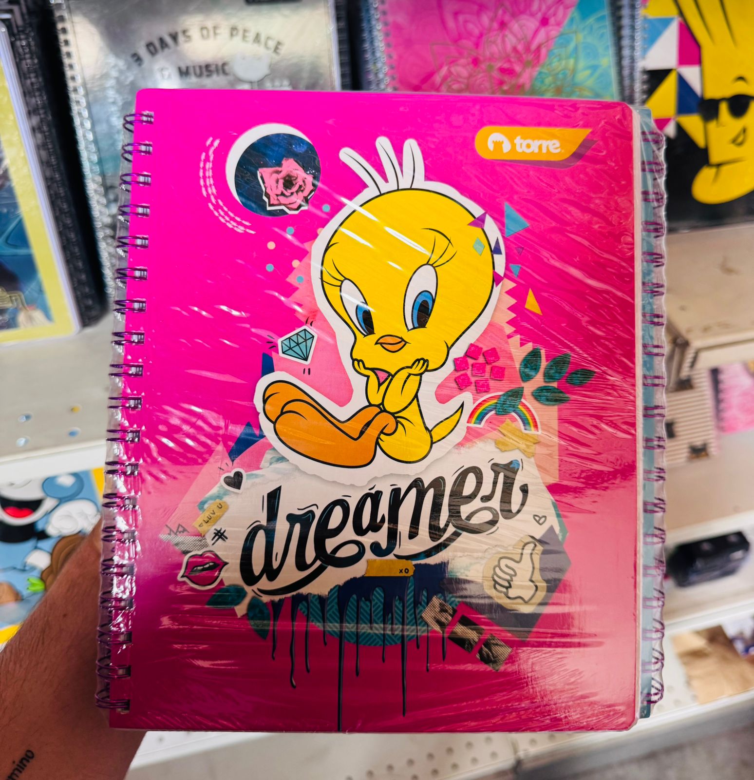 Pack Oferta 10 Cuadernos Universitarios Torre