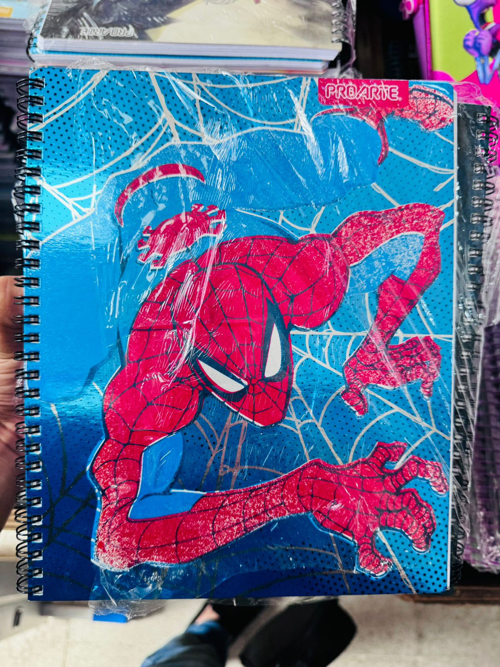 Pack Oferta 10 Cuadernos Universitarios ProArte