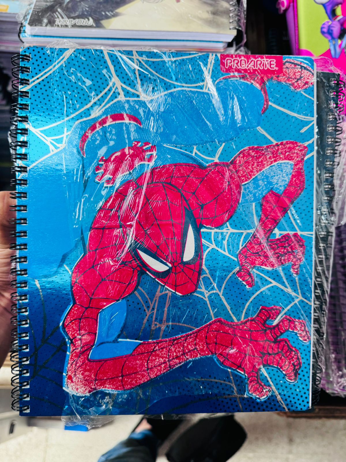 Pack Oferta 10 Cuadernos Universitarios ProArte