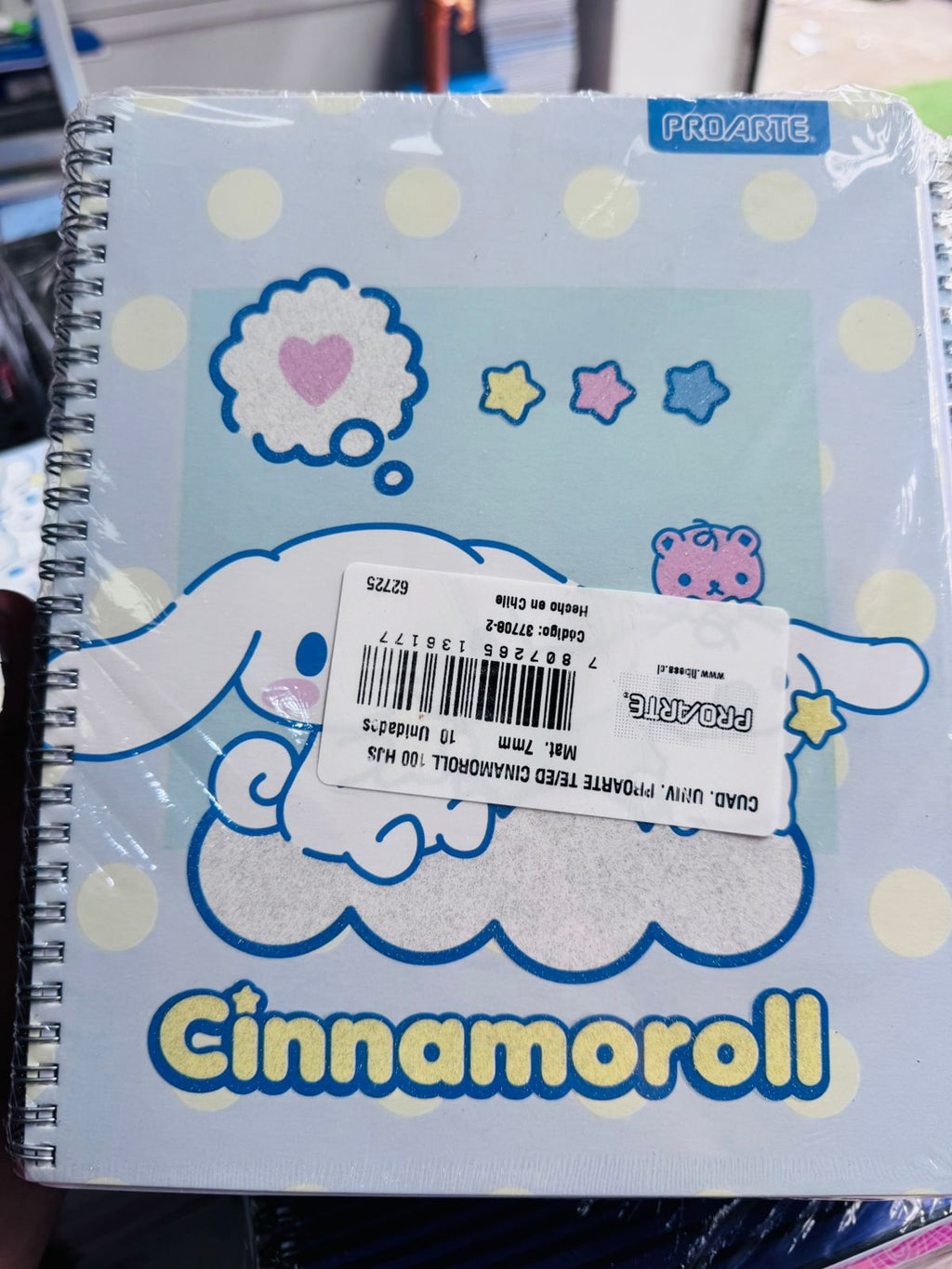 Pack Oferta 10 Cuadernos Universitarios ProArte