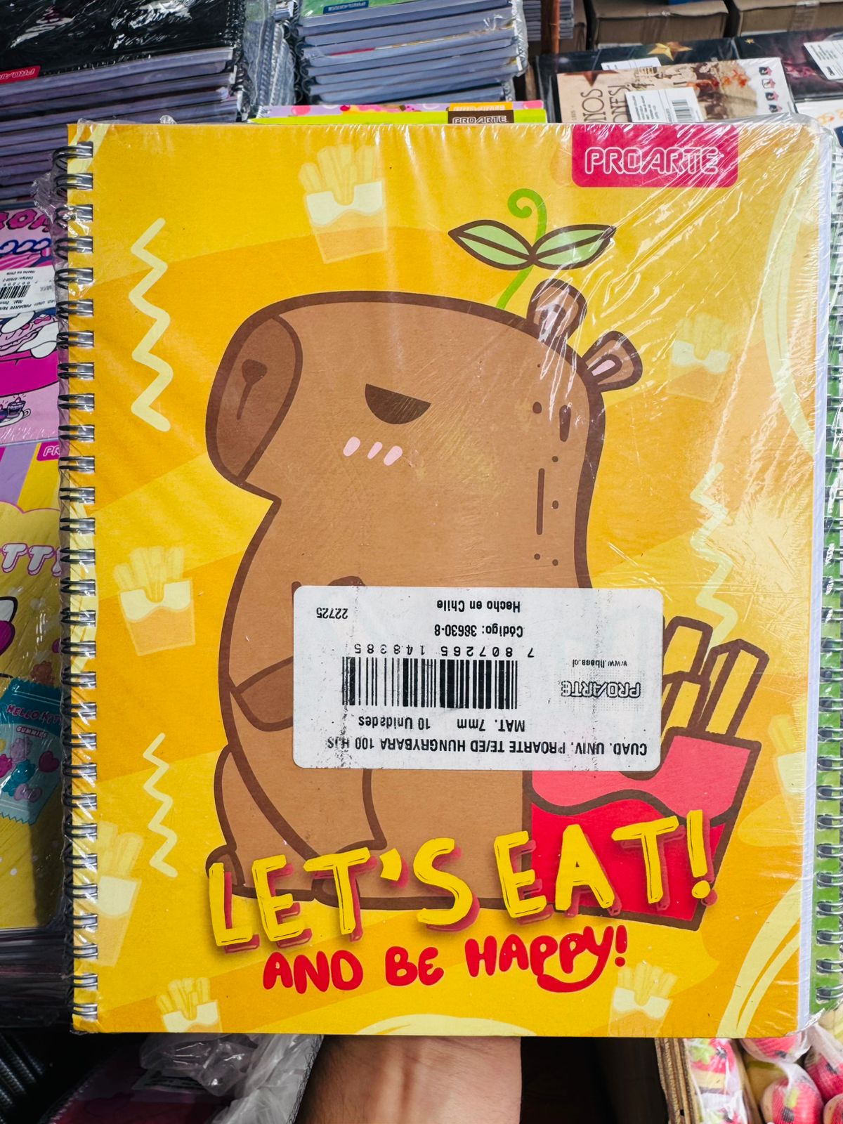 Pack Oferta 10 Cuadernos Universitarios ProArte