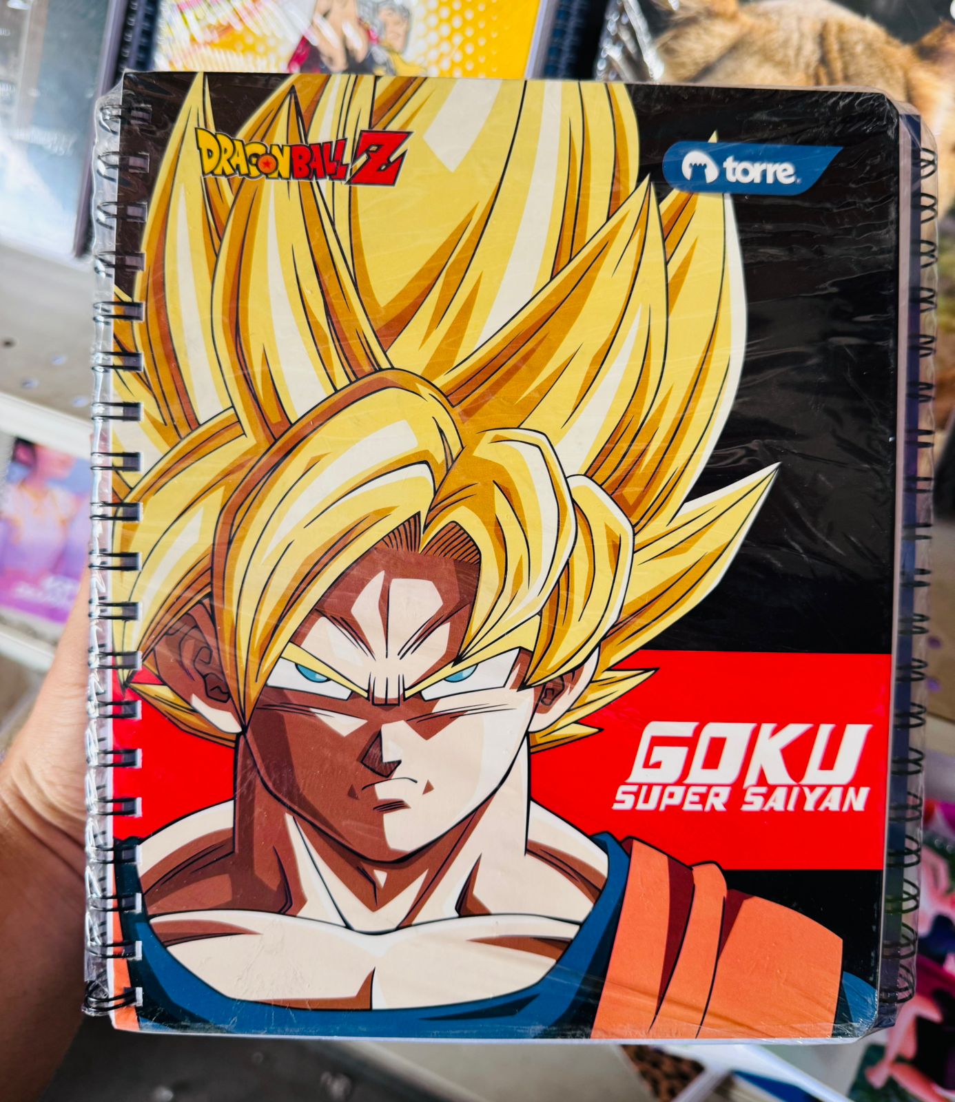 Pack Oferta 10 Cuadernos Universitarios Torre