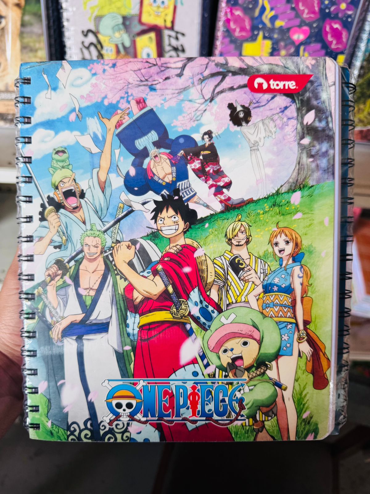 Pack Oferta 10 Cuadernos Universitarios Torre